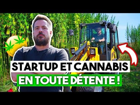 Thumbnail for Découverte d'un champs de CANNABIS en Belgique! | CBX Medical